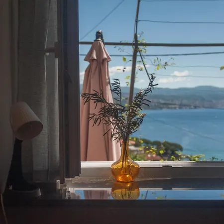 Kiwi Opatija